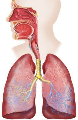 Image for question 1