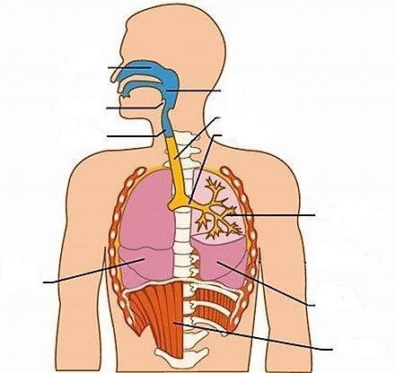 Image for question 9
