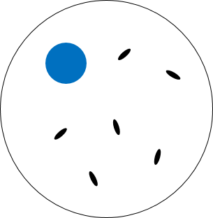Image for question 1