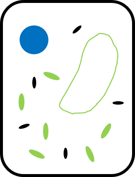 Image for question 2