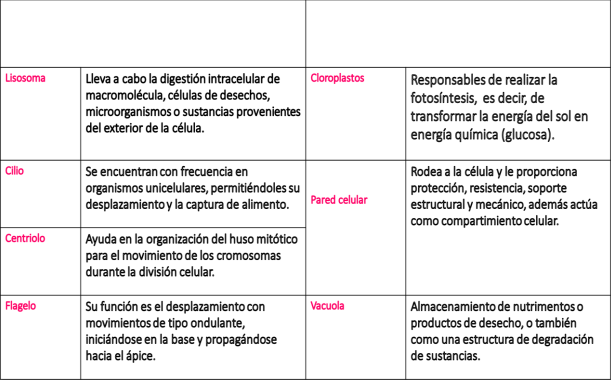 Image for question 10