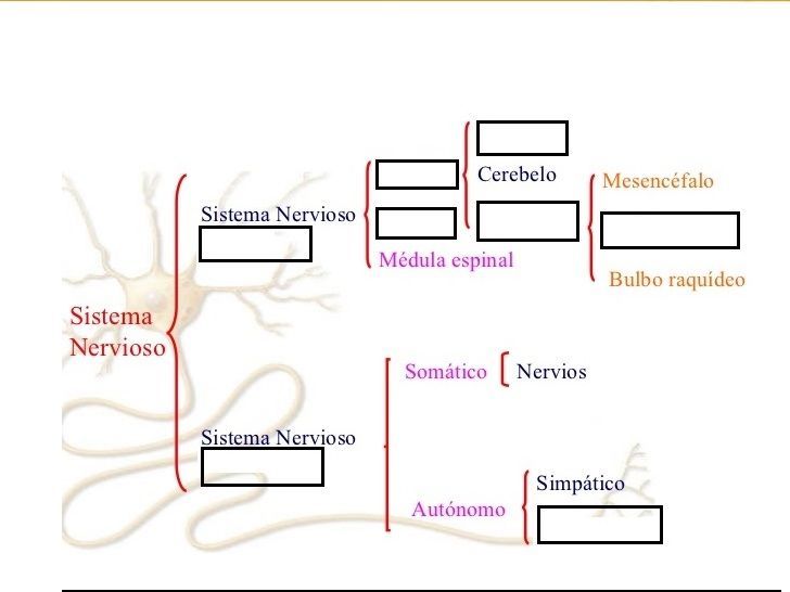 Image for question 3