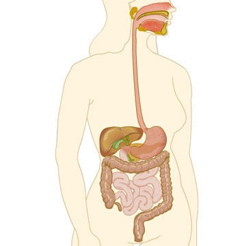 Image for question 2