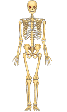 Image for question 5