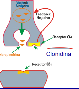 Image for question 7
