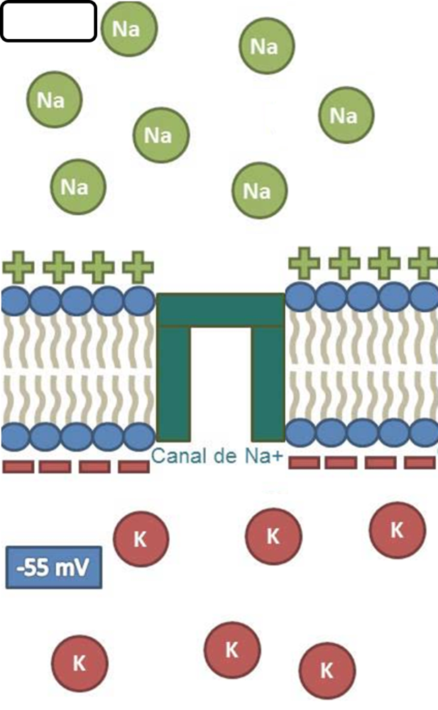 Image for question 8