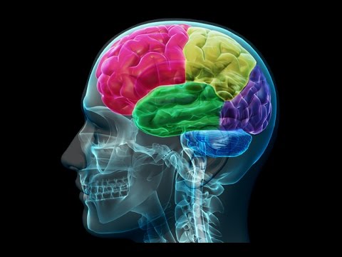 HABILIDADES DEL PENSAMIENTO