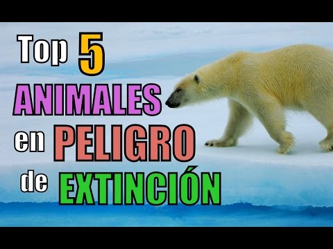 animales en peligro de extincion