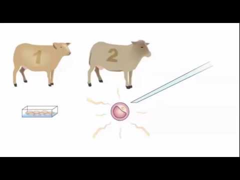 Aplicaciones de la Biotecnología