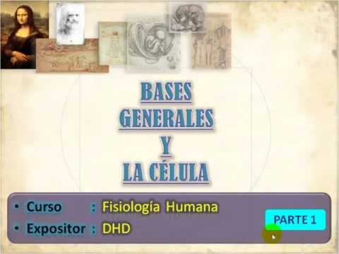 Fisiologia