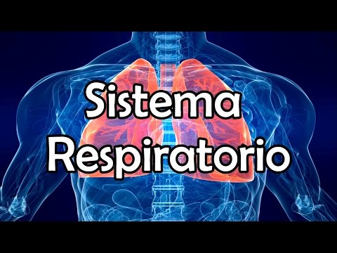 SISTEMA RESPIRATORIO