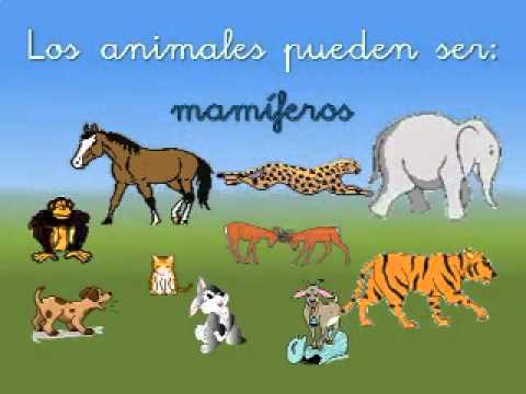 Los seres vivos