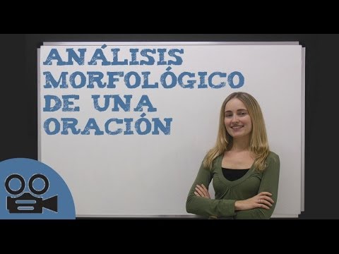 Criterios morfológicos