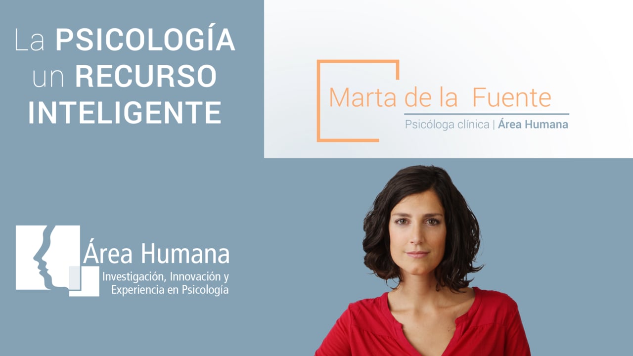 Mapa Conceptual Psico-organizacional