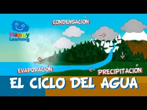 FUNCIÓN E IMPORTANCIA DEL CICLO DEL AGUA