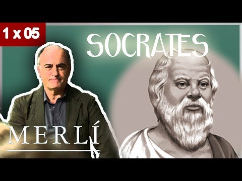Filosofia Grecoromana, Helenista, Moderna y Contemporanea (videos)