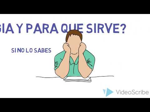 Sociología
