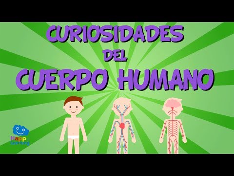 EL CUERPO HUMANO Y SU SALUD.