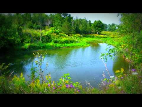 78. Pastoral scenes make people happy