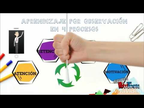 teoría del aprendizaje SOCIAL