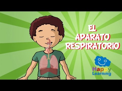 EL APARATO RESPIRATORIO