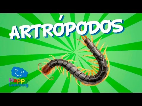 ESTUDIO DE LOS ARTRÓPODOS