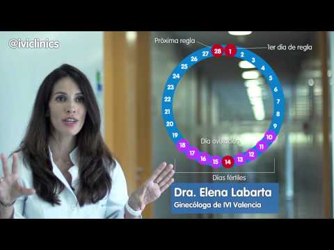 Métodos para conocer el ciclo menstrual