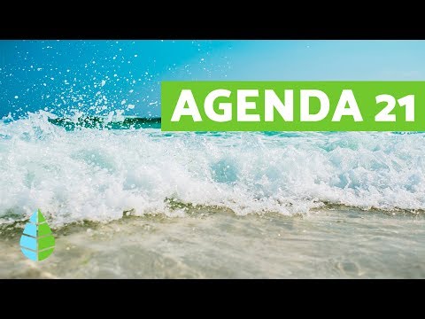 AGENDA 21 (estrategias ambientales para el planeta)