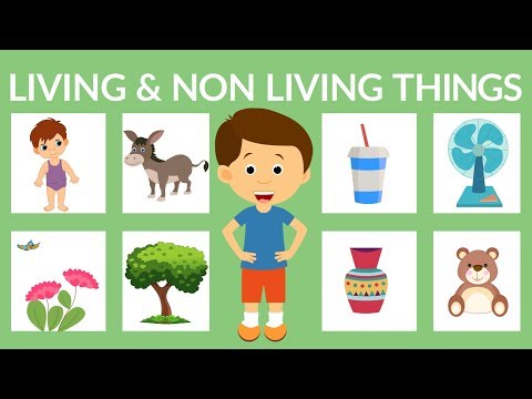 Living and non-living things