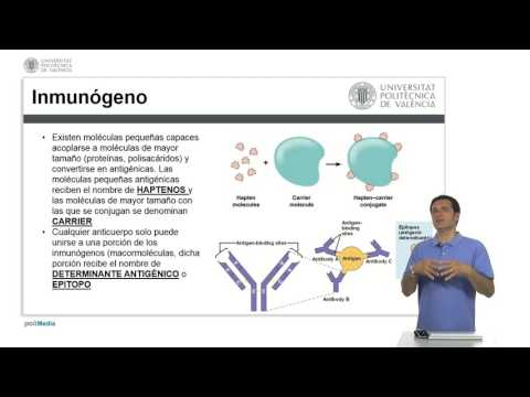 REACCION ANTIGENO-ANTICUERPO