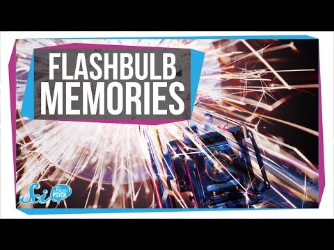 26. The Most Vivid Memories Are Wrong