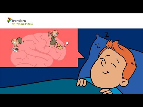 Point 23: Memory Takes A Lot of Mental Resources