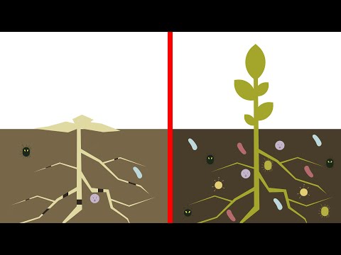 MATERIA ORGÁNICA DEL SUELO