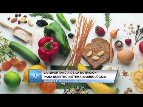 Importancia de los nutrientes esenciales en la alimentación.
