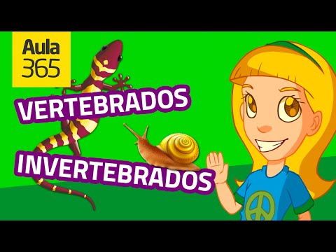Animales vertebrados e invertebrados: diferencias y similitudes