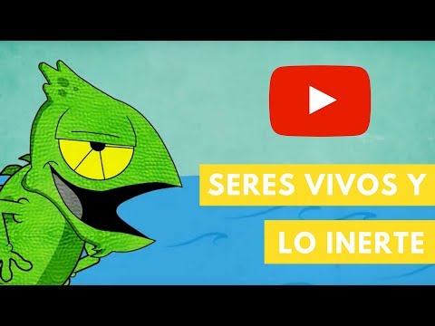 CARACTERISTICAS