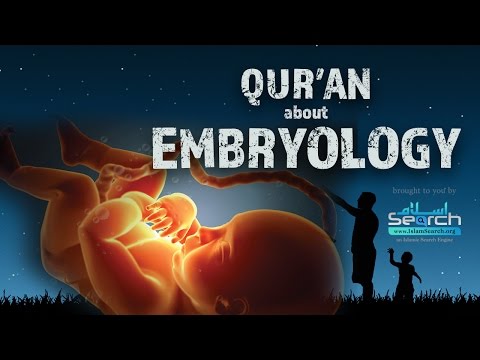 Surah An-Najmi Ayat 32 (Penciptaan Manusia)