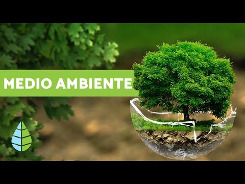 Química verde y el cuidado del medio ambiente