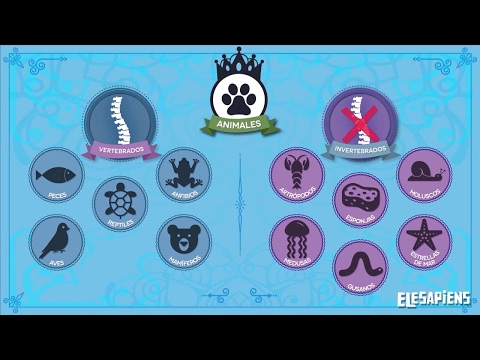 MATERIAL AUDIOVISUAL - CLASIFICACIÓN DE LOS ANIMALES.