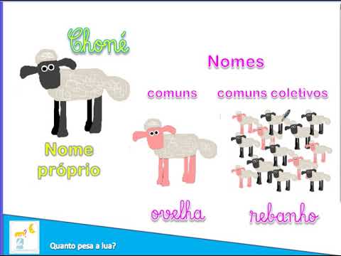 Classes dos nomes e dos adjetivos