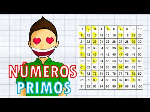 Numero Primo