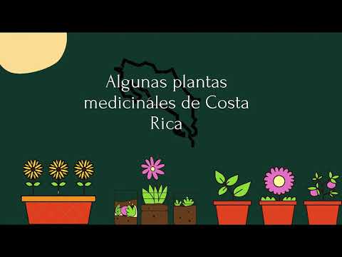 Metabolitos secundarios