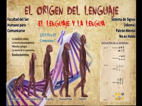 El Lenguaje concepto origen y evolución de la lengua, habla y dialecto.