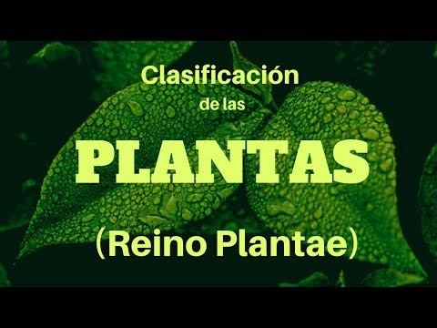 Los reinos de la naturaleza