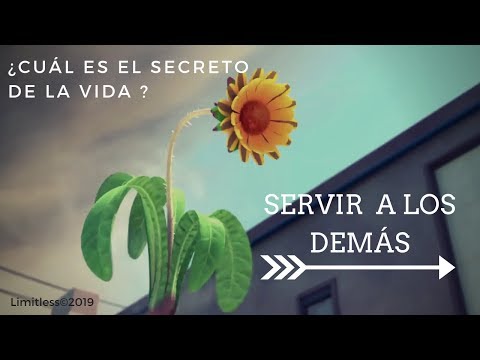 proyecto de vida diapositivas