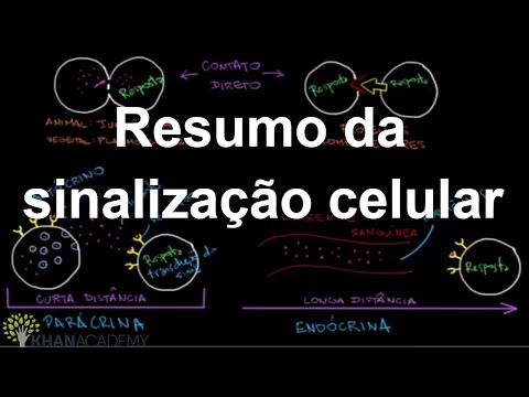 Aula 14: Receptores da membrana e princípios da sinalização celular II