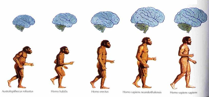 DESARROLLO DE LA MENTE HUMANA Y EL LENGUAJE