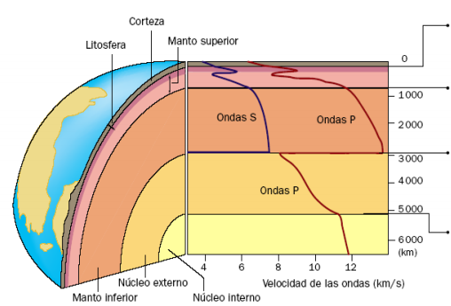 Ordena de menos profundo a más profundo: a) Discontinuidad de los 670 km b) Discontinuidad de Lehman c) Discontinuidad de Gutenberg d) Di...