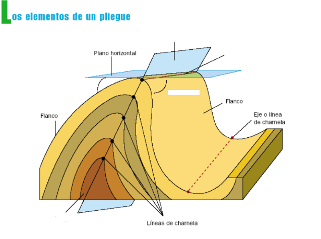 ¿Sabrías diferenciar los siguientes elementos: Charnela, plano axial, buzamiento, núcleo? ¿Sabes qué es la dirección de un pliegue?