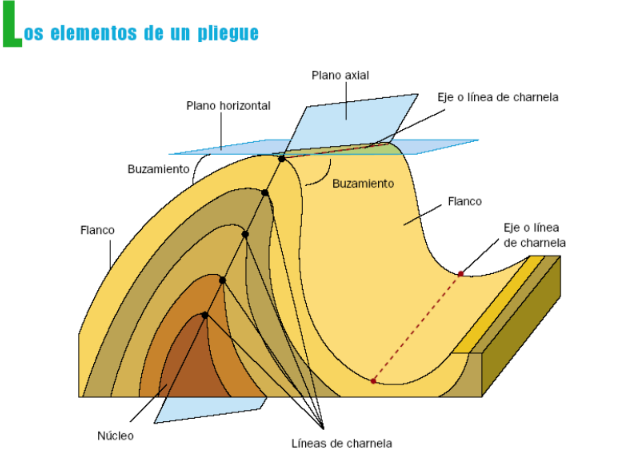 ¿Sabrías diferenciar los siguientes elementos: Charnela, plano axial, buzamiento, núcleo? ¿Sabes qué es la dirección de un pliegue?